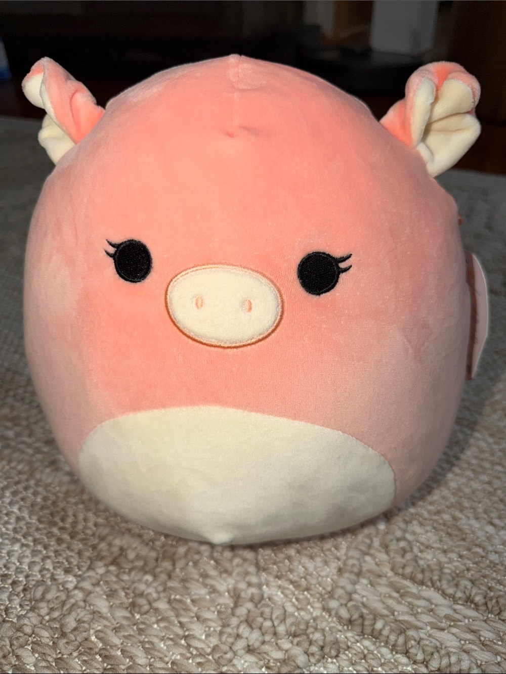 Squishmallows 10” Petra the Pig 🐷